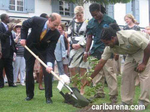 Tree planting at Nelson's Dockyard, a National Park in Antigua
